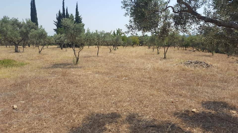 Bayındır Kızılcaova Köyü Resimleri 2