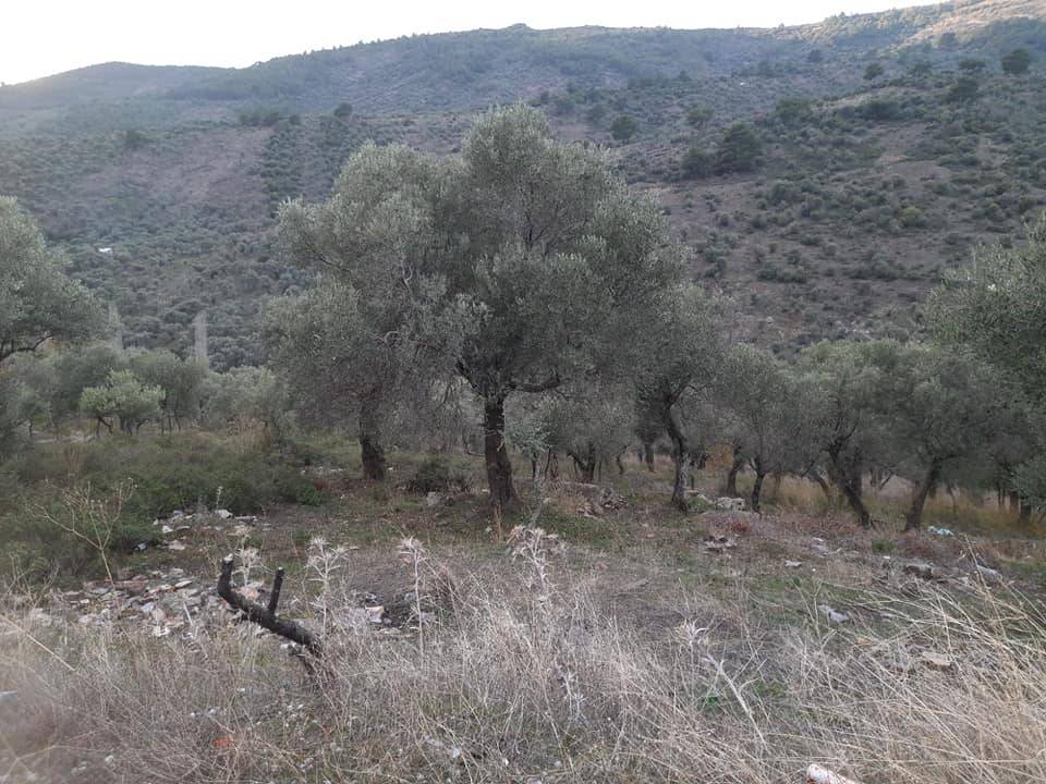 Bayındır Kızılcaova Köyü Resimleri 6