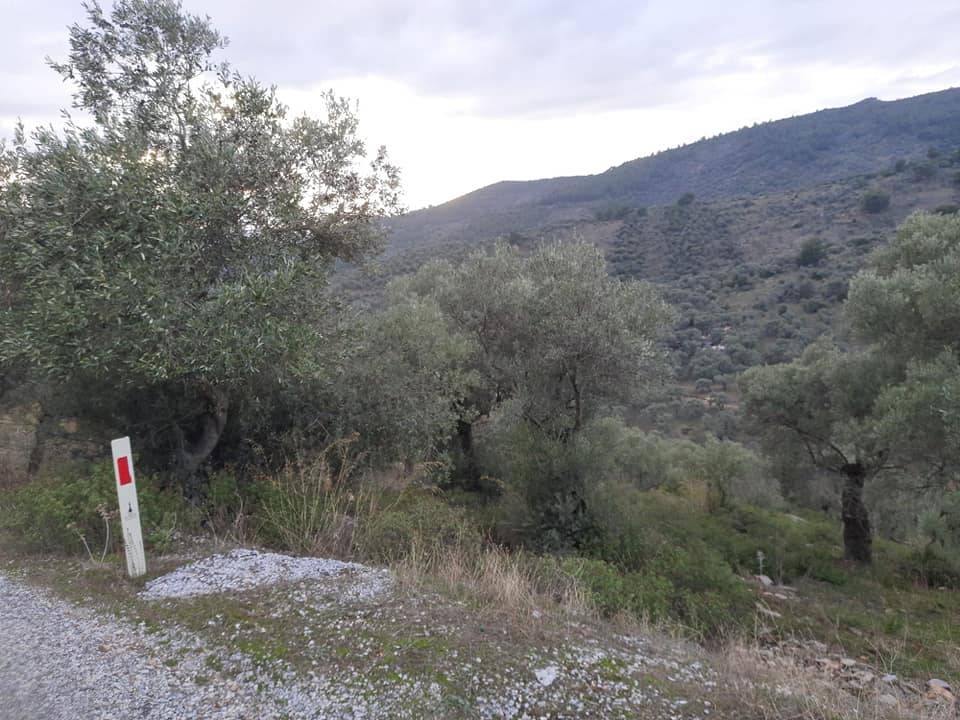 Bayındır Kızılcaova Köyü Resimleri 7