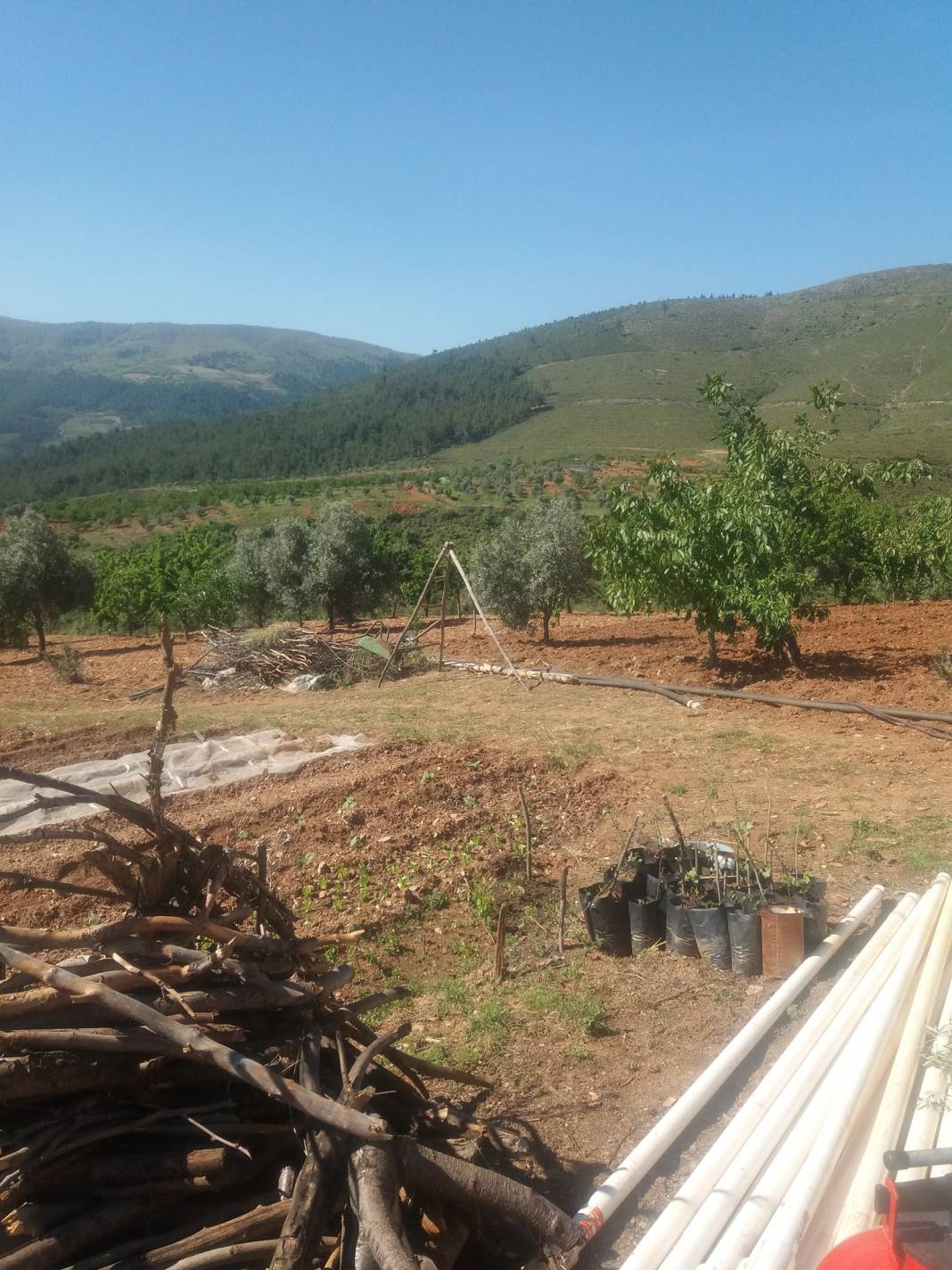 Bayındır Kızılkeçili Köyü Resimleri 3