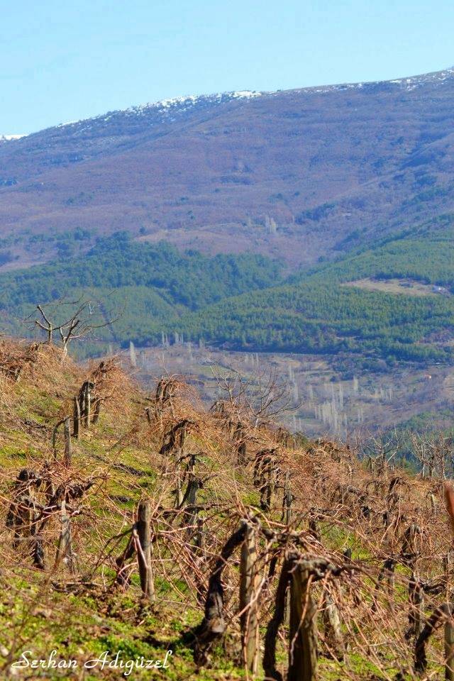 Bayındır Kızıloba Köyü Resimleri 2
