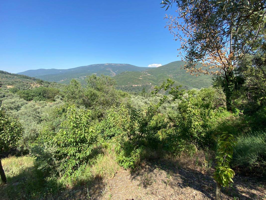 Bayındır Kızıloba Köyü Resimleri 7