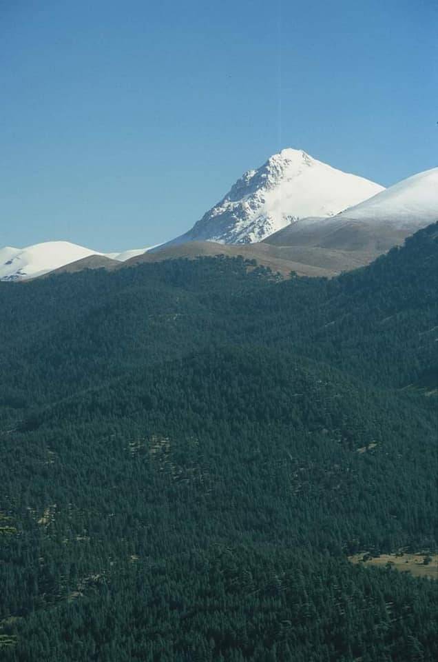 Bayındır Kurt Köyü Resimleri 3