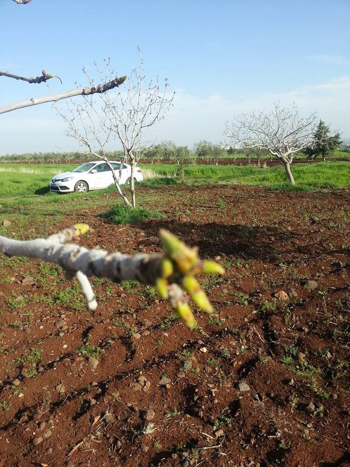 Şahinbey Hacıköy Köyü Resimleri 2