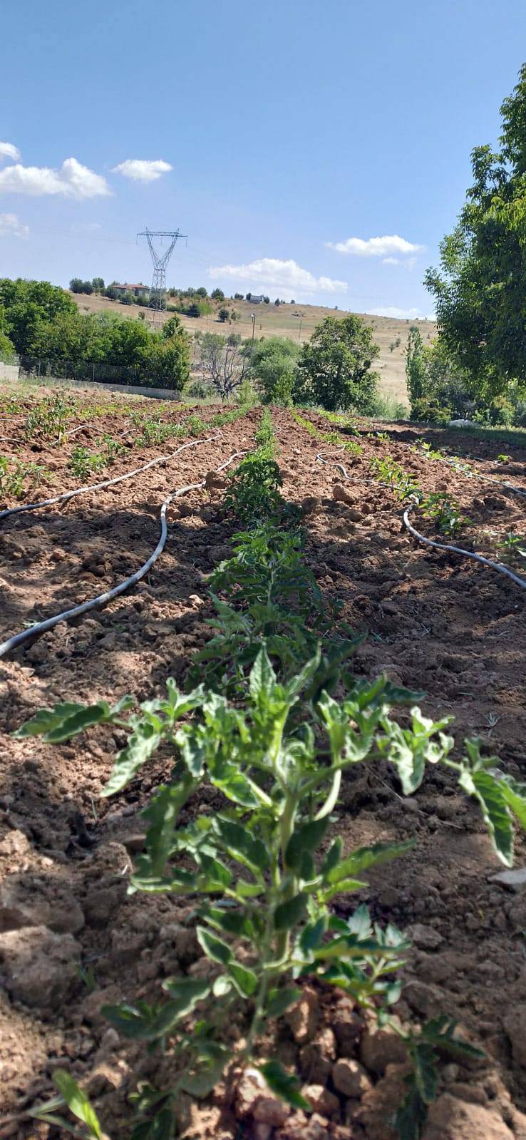 Şahinbey Hacıköy Köyü Resimleri 4
