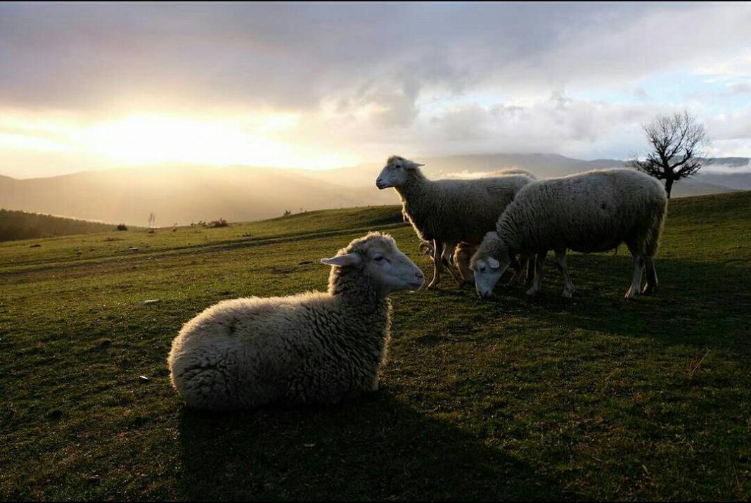 Simav Madenköy Köyü Resimleri 2