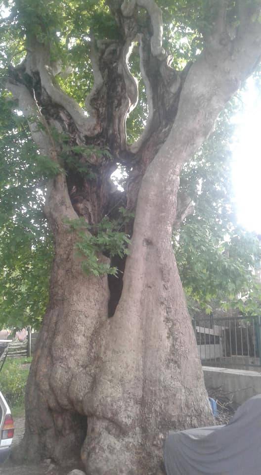 Simav Mamak Köyü Resimleri 1