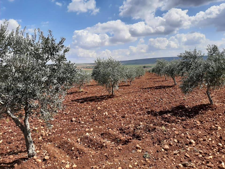 Şahinbey Kapçağız Köyü Resimleri 4