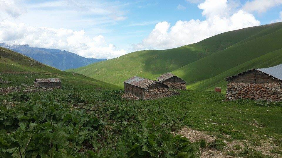 İkizdere Sivrikaya Köyü Resimleri 8