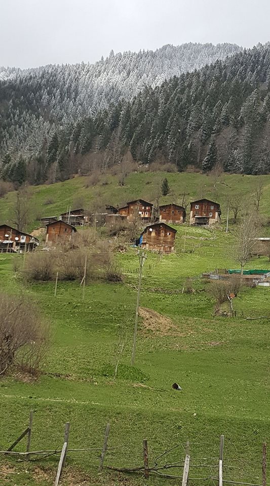 İkizdere Sivrikaya Köyü Resimleri 9