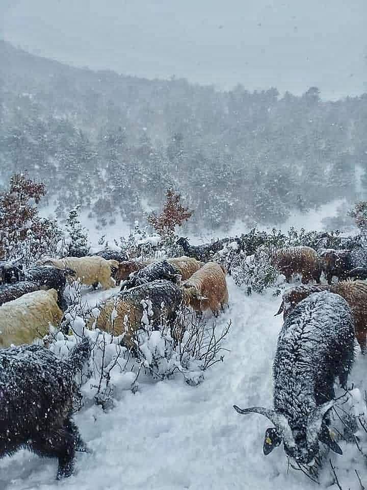 Simav Söğüt Köyü Resimleri 3