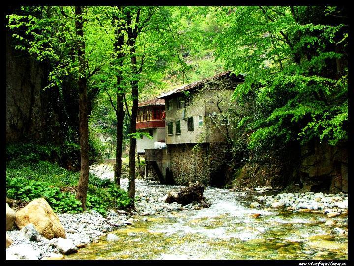 İkizdere Şimşirli Köyü Resimleri 3