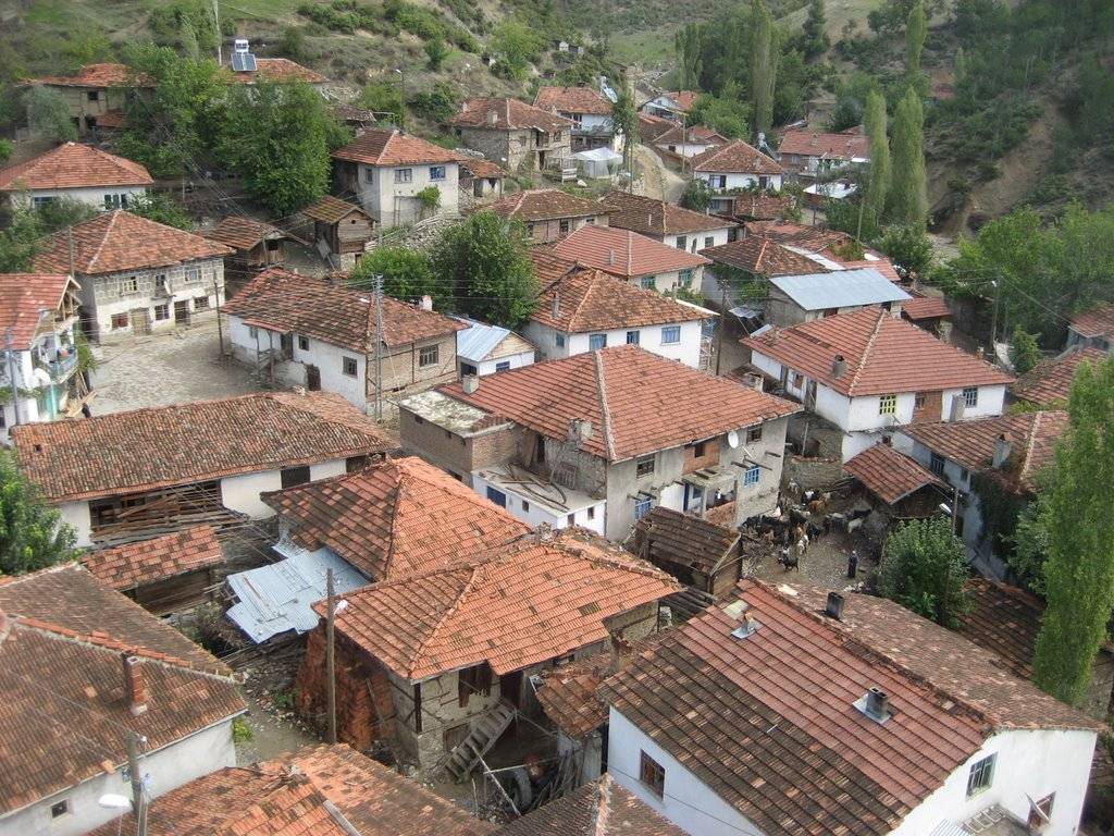 Simav Toklar Köyü Resimleri 6