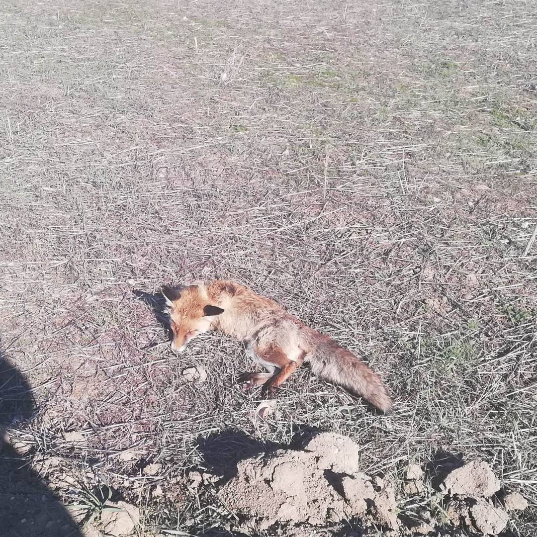 Simav Yağıllar Köyü Resimleri 5