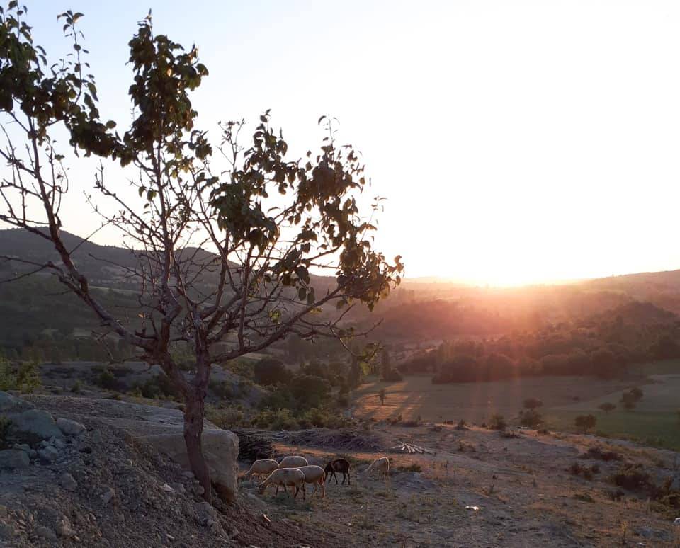 Simav Yassıeynihan Köyü Resimleri 1