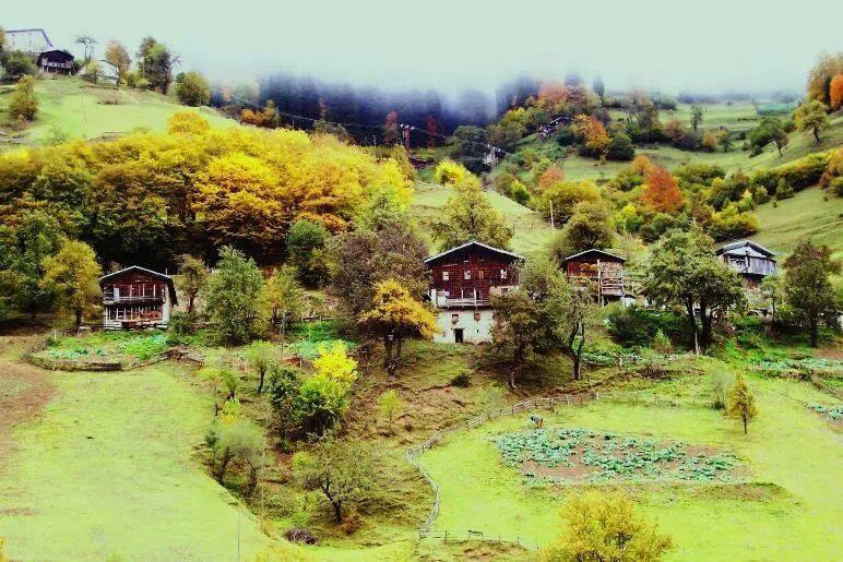 İkizdere Tozköy Köyü Resimleri 2