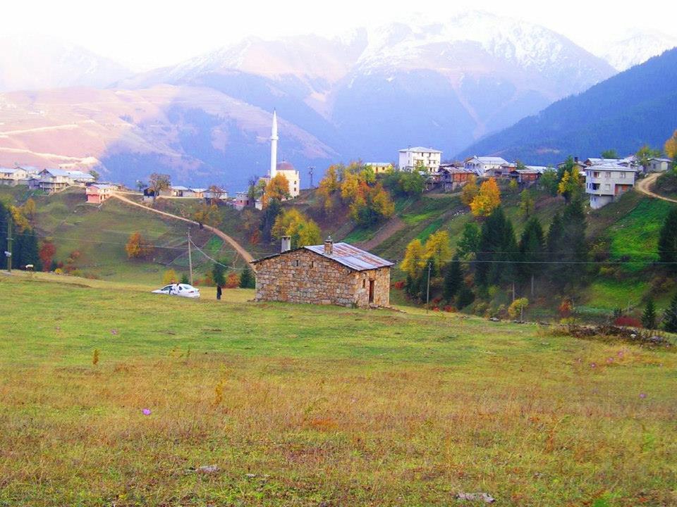 İkizdere Tozköy Köyü Resimleri 3