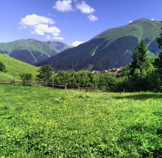 İkizdere Tozköy Köyü Resimleri 8