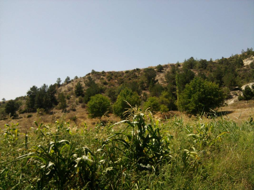 Simav Yeniler Köyü Resimleri 2