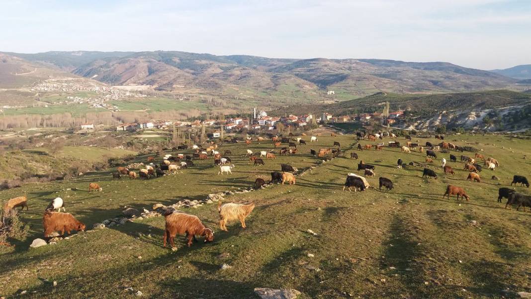 Simav Yeniler Köyü Resimleri 4