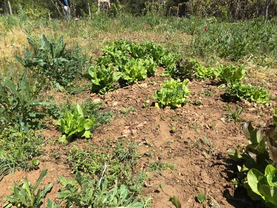 Simav Yeşilköy Köyü Resimleri 1