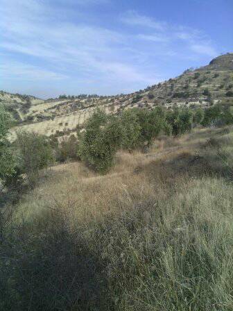 Şahinbey Morcalı Köyü Resimleri 3