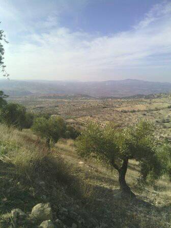 Şahinbey Morcalı Köyü Resimleri 7