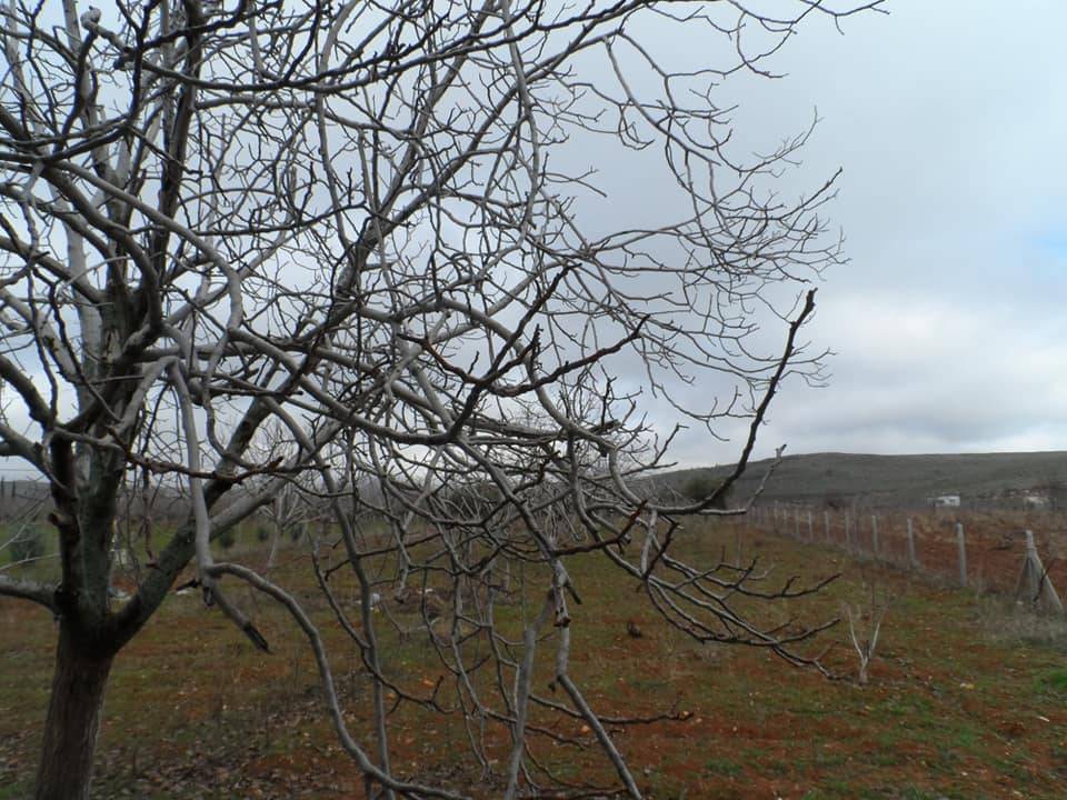 Şahinbey Ozanlı Köyü Resimleri 1