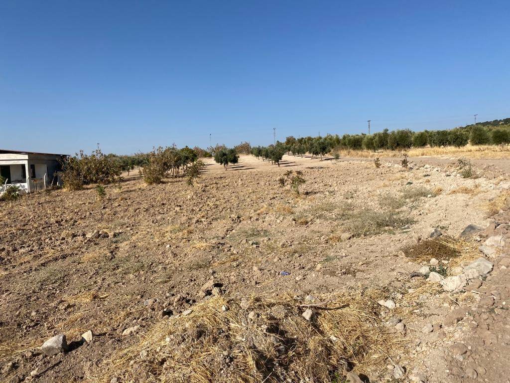 Şahinbey Ozanlı Köyü Resimleri 4