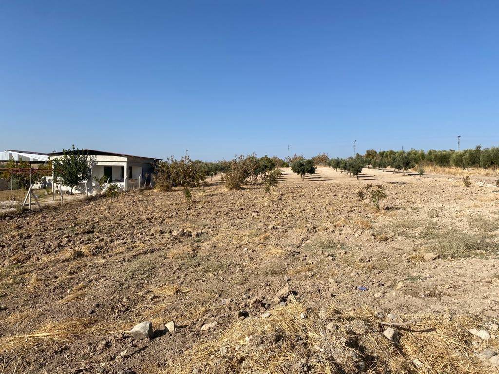 Şahinbey Ozanlı Köyü Resimleri 6