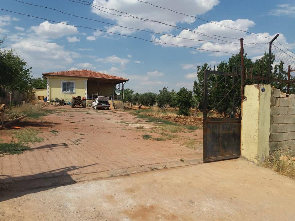 Şahinbey Sarıbaşak Köyü Resimleri 1