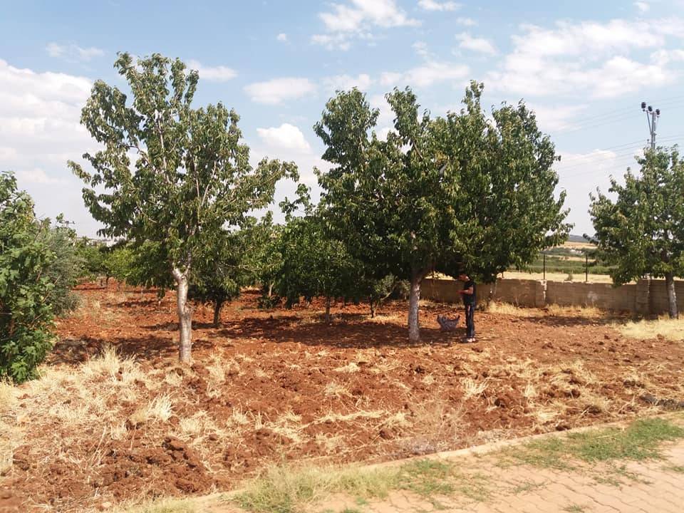 Şahinbey Sarıbaşak Köyü Resimleri 2