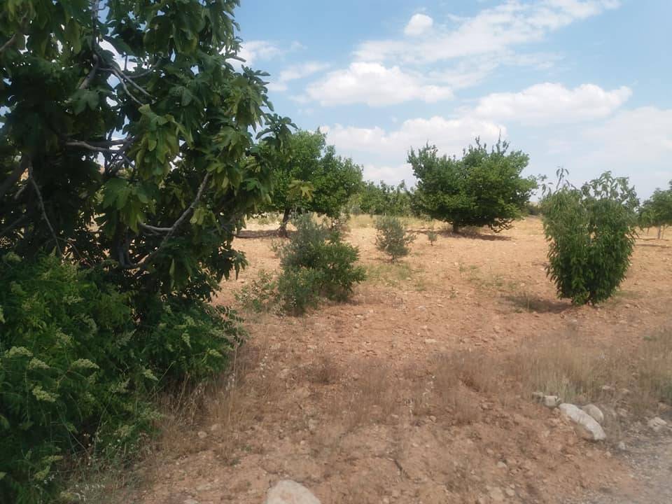 Şahinbey Sarıbaşak Köyü Resimleri 3