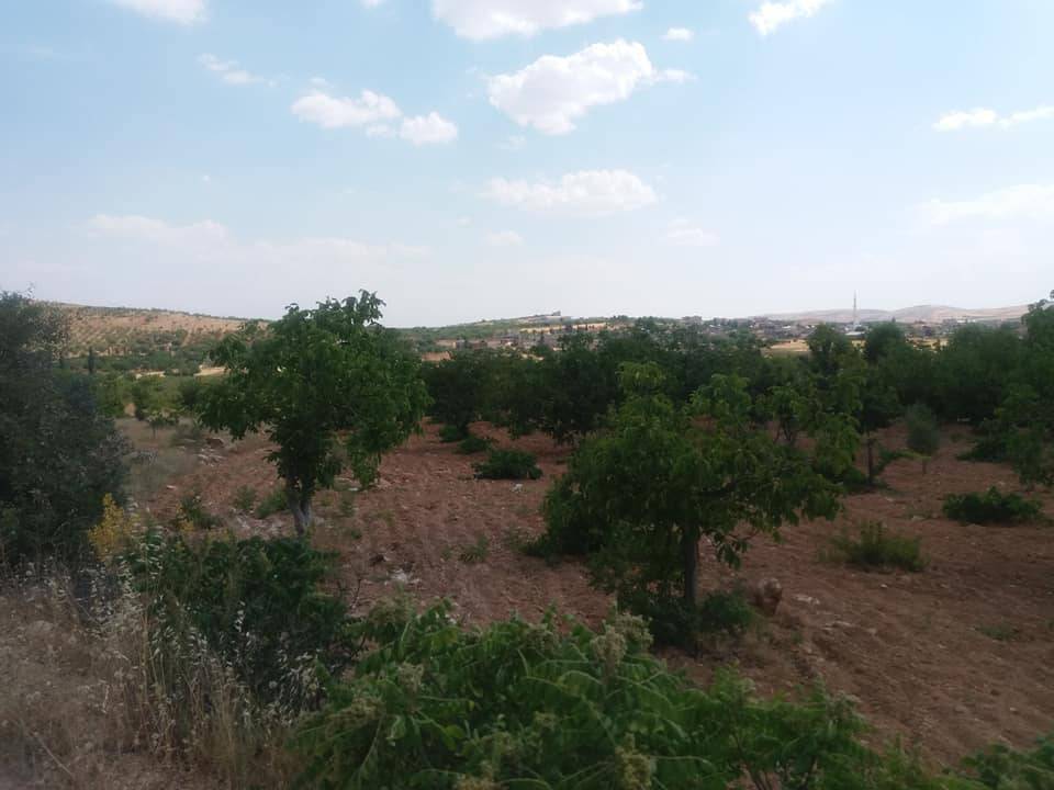 Şahinbey Sarıbaşak Köyü Resimleri 6