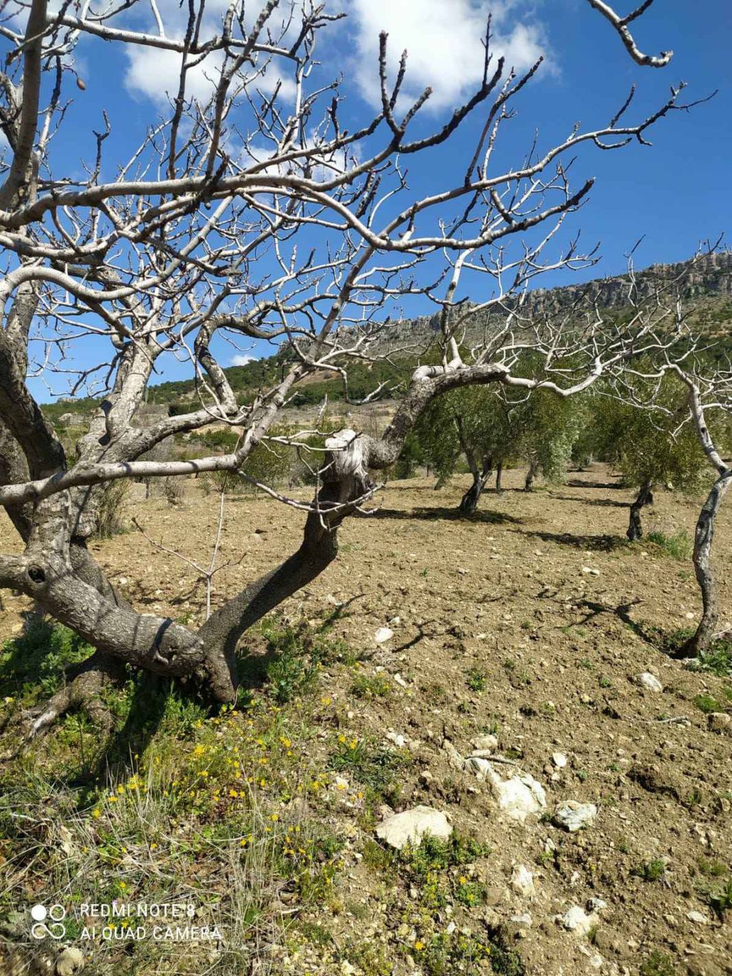 Şahinbey Sarıkaya Köyü Resimleri 3
