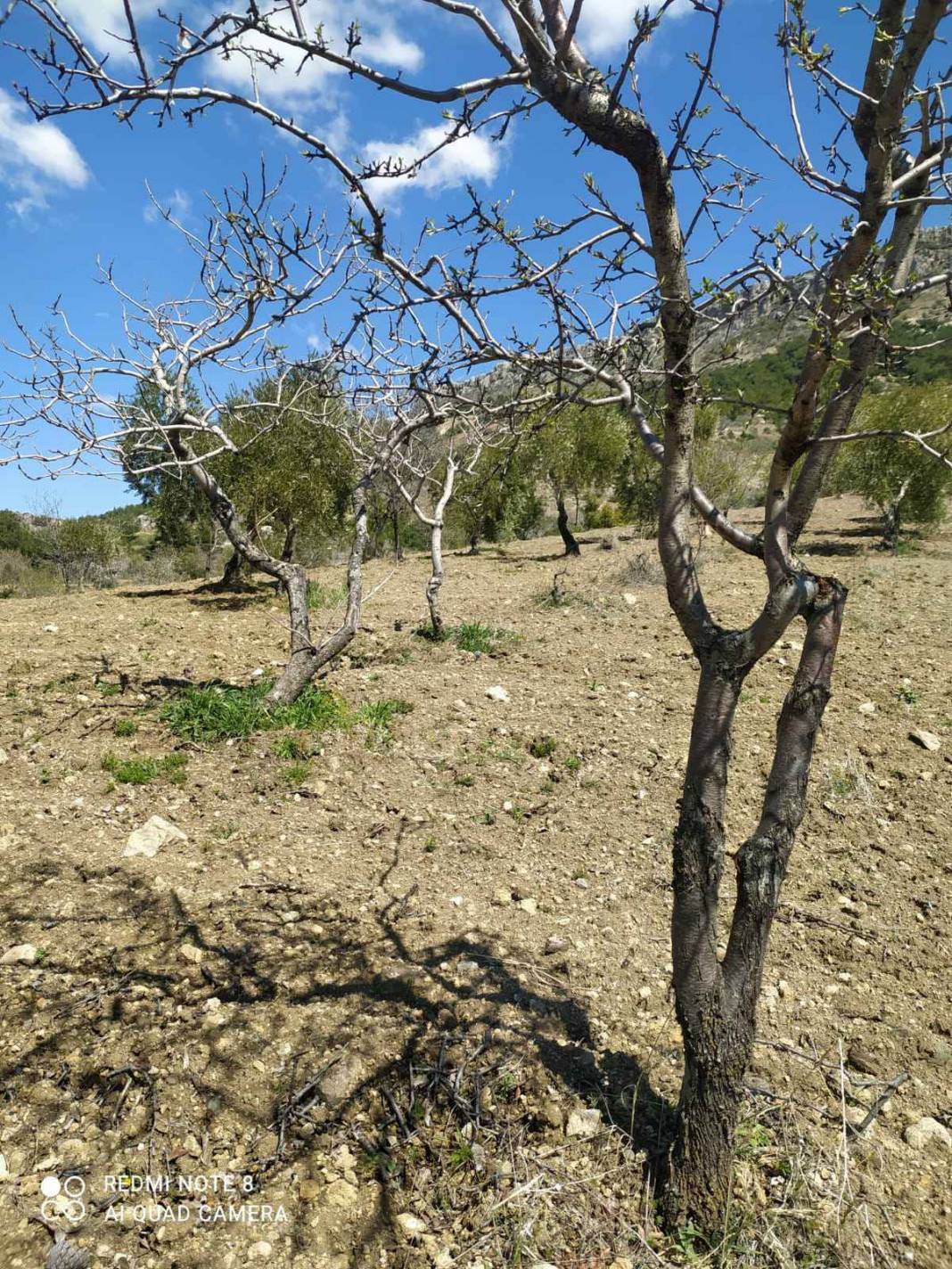 Şahinbey Sarıkaya Köyü Resimleri 4