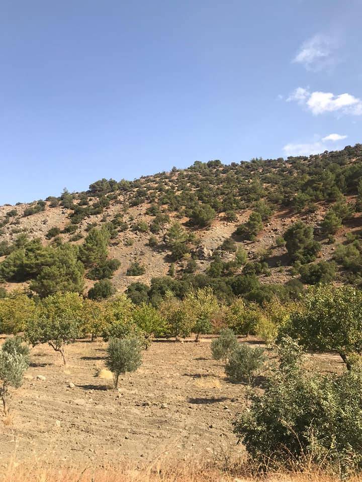 Şahinbey Sarıkaya Köyü Resimleri 5