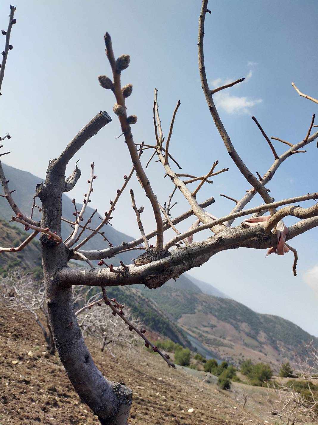 Şahinbey Sarıkaya Köyü Resimleri 7