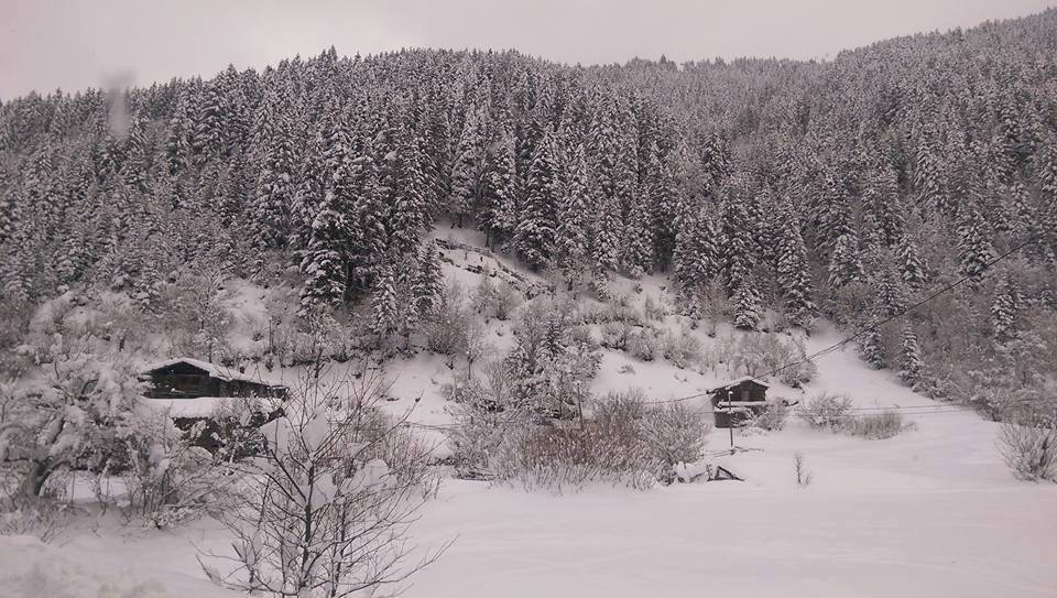 İkizdere Yağcılar Köyü Resimleri 9