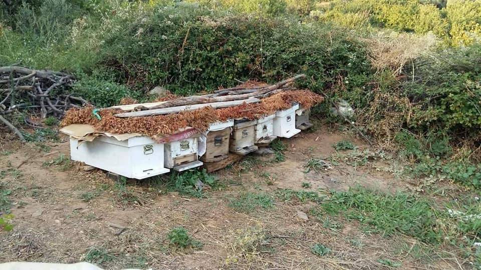 Bayındır Osmanlar Köyü Resimleri 8