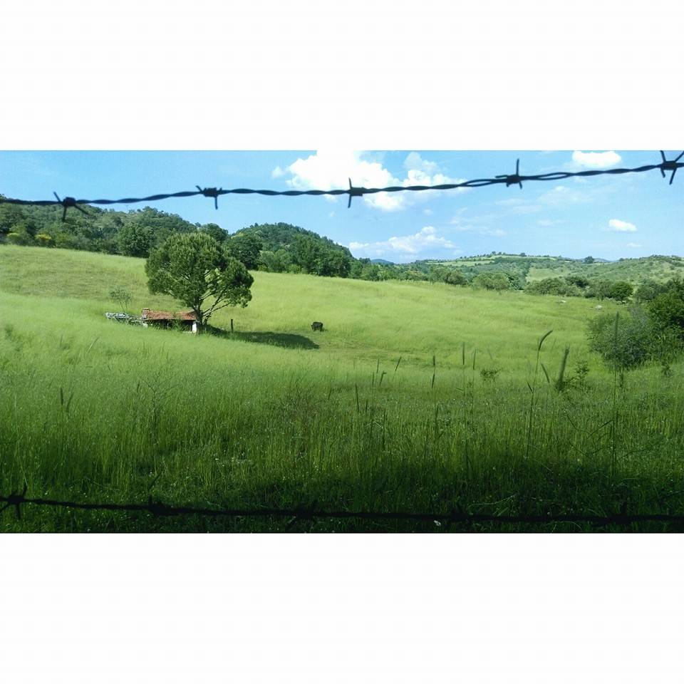 Bergama Akçenger Köyü Resimleri 6