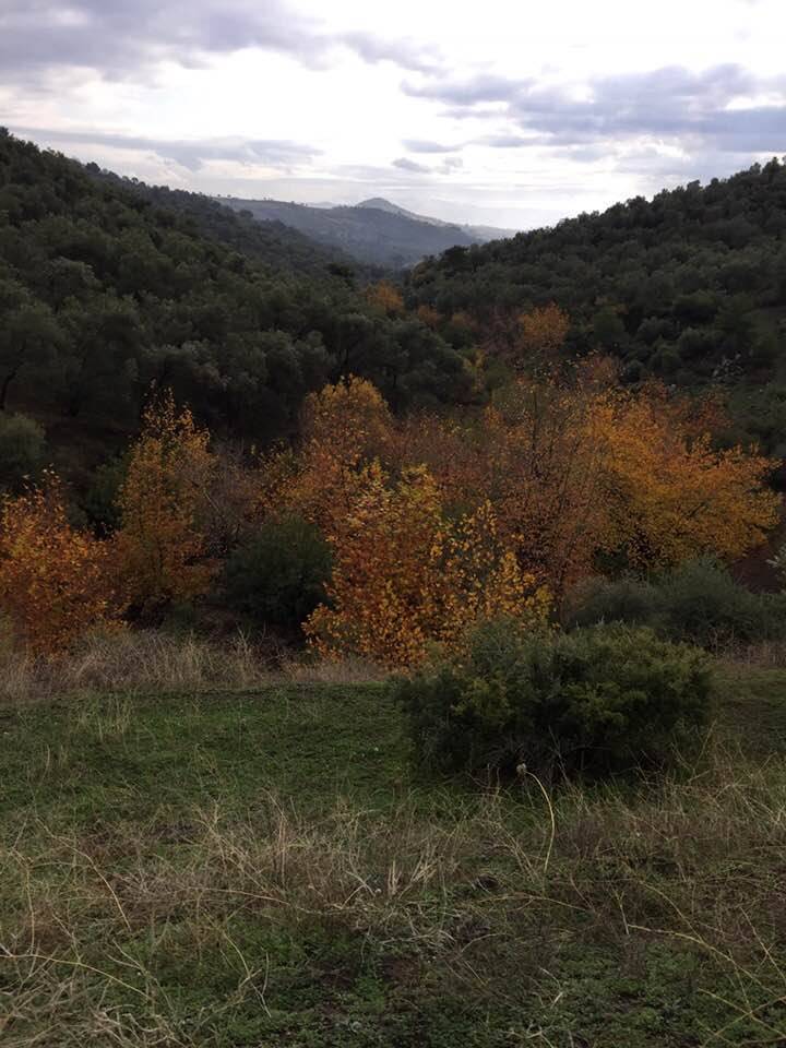 Bergama Alacalar Köyü Resimleri 2