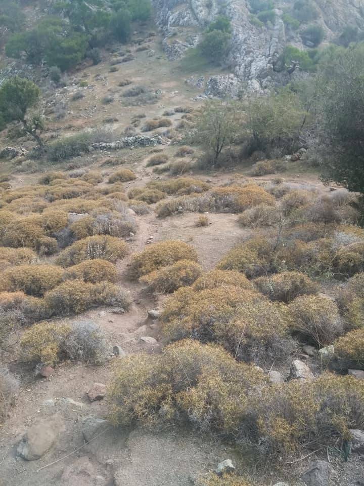 Bergama Alacalar Köyü Resimleri 3