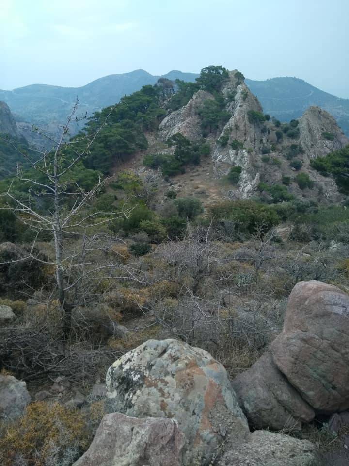 Bergama Alacalar Köyü Resimleri 4