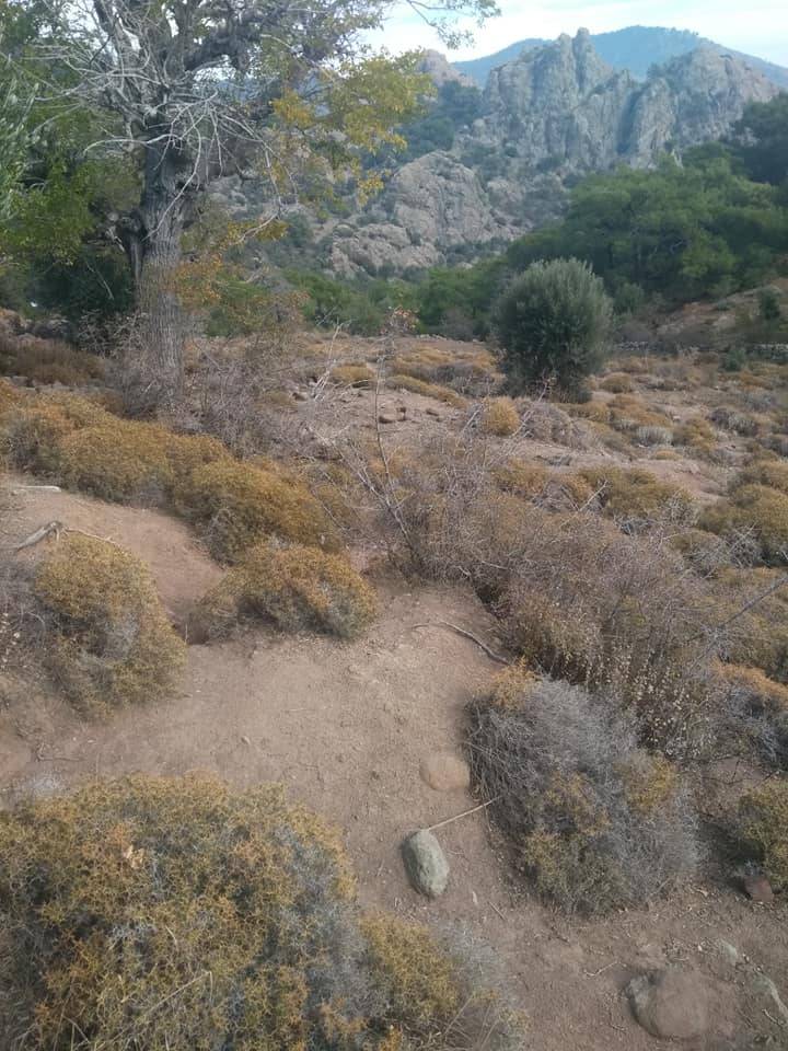 Bergama Alacalar Köyü Resimleri 6