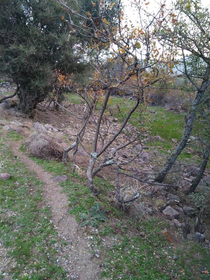 Bergama Alacalar Köyü Resimleri 9