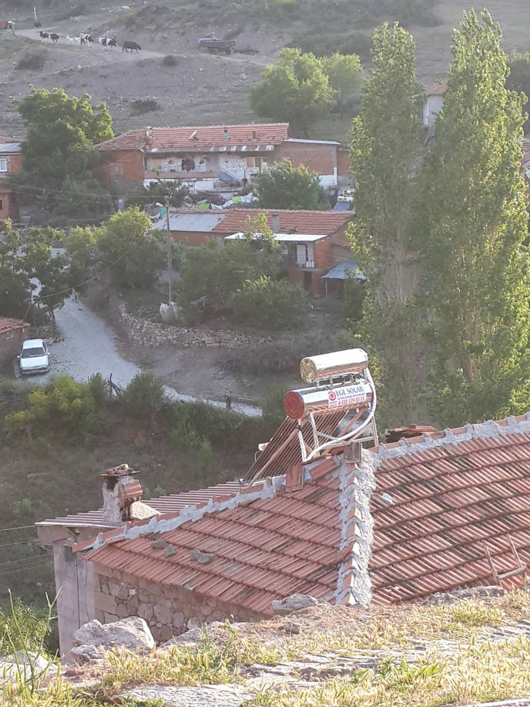 Bergama Alhatlı Köyü Resimleri 3