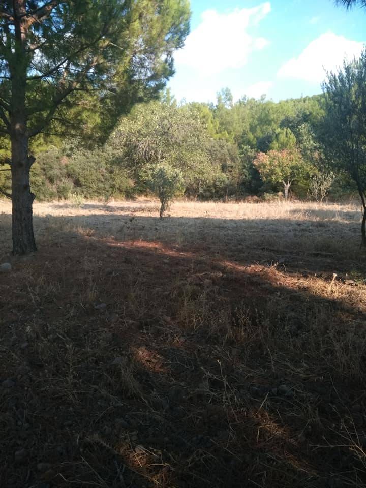 Bergama Armağanlar Köyü Resimleri 3