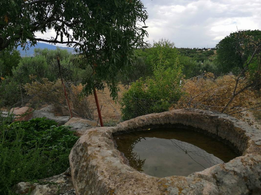 Bergama Armağanlar Köyü Resimleri 5