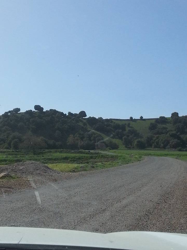 Şahinbey Tiyekli Köyü Resimleri 1